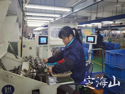 加速智能轉(zhuǎn)型，賦能未來 家電零配件銷售在產(chǎn)業(yè)升級中的新機(jī)遇